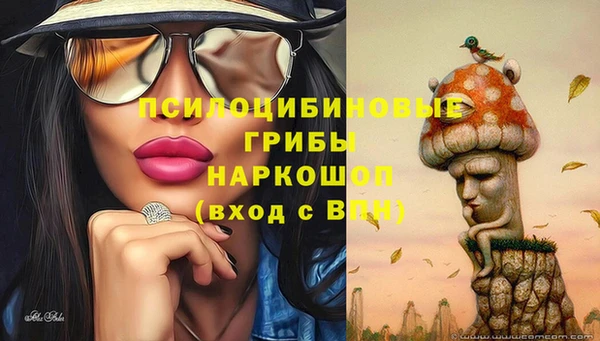 прущая мука Верея