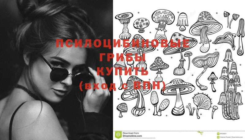 Галлюциногенные грибы Cubensis  Курск 